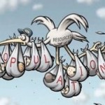 stork stork