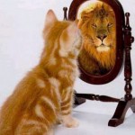 kitten_lion kitten_lion