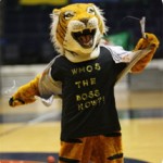 mascot mascot