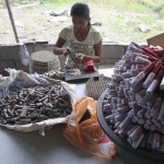 illegal_firecrackers illegal_firecrackers