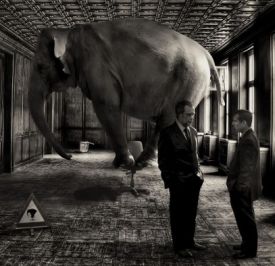 elephant_in-the_room
