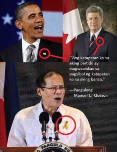 Leaders in other countries wear their national symbol. It is about the country and not their self interest.