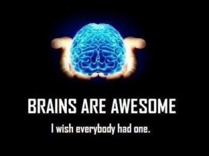 Not even everyone, I would settle for every politician having a brain.