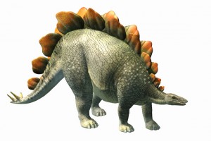 The Stegosaurus