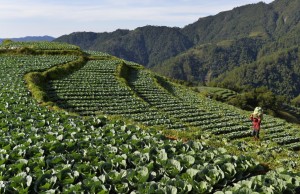 Parts of Mt. Kabuyao in Tuba, Benguet (just above Baguio) where forest in being converted into vegetable farms.