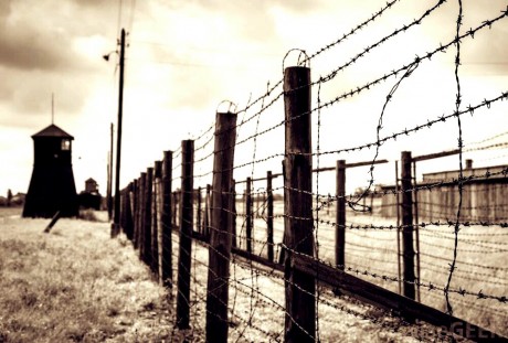 Stalin totalitarianism essay