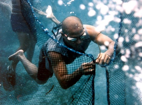 muro ami movie Muro-ami fishing, otherwise known as reef-hunting, is one of the cruelest, most cataclysmic forms of illegal fishing that destroys the coral reefs and. muro ami movie Muro-ami fishing, otherwise known as reef-hunting, is one of the cruelest, most cataclysmic forms of illegal fishing that destroys the coral reefs and.