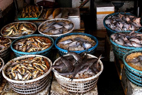 fish_market