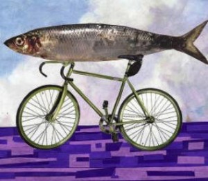 Like A Fish Needs A Bicycle