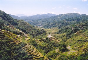 Rice_Terraces_Banaue