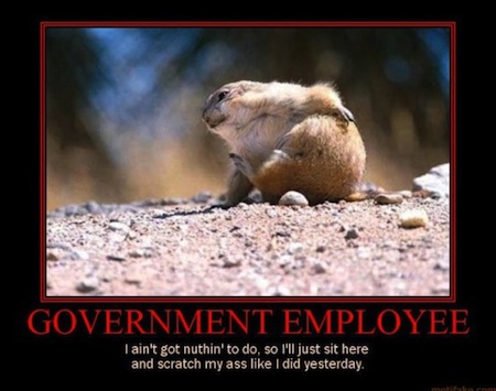 govt_employee