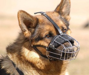 Basket-Wire-Dog-Muzzle-GSD-shepherd_LRG