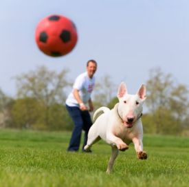 Do Filipinos prefer to chase the ball or be the one throwing it?