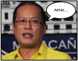 noynoy_aquino_dap_unconstitutional