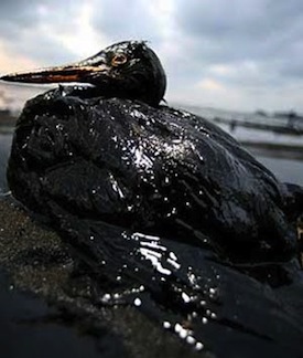 oil_spill