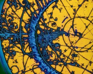 subatomic_particle_tracks