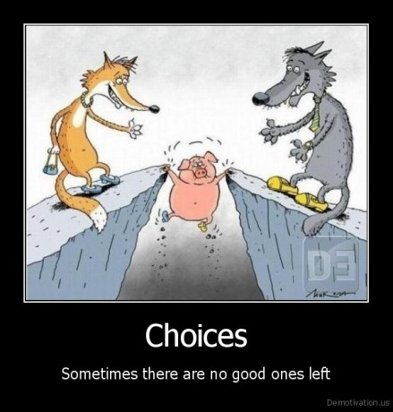 demotivation.us_Choices-Sometimes-there-are-no-good-ones-left-1