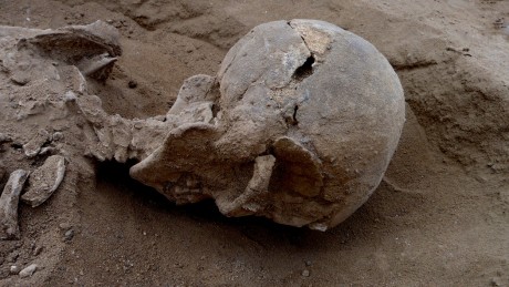 skull_21turkana1-master1050