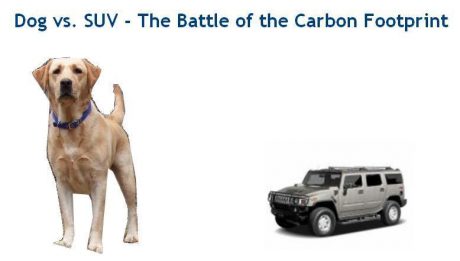 dogvssuv